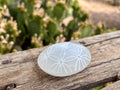 Selenite Palm Stone - Flower of Life Etched